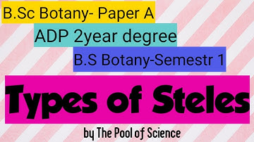 B.Sc Botany-paper A | B.S botany semester 1 | ADP degree | Types of Steles by The Pool of Science