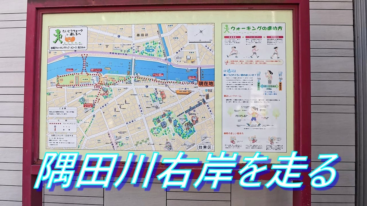 隅田川右岸を走行（隅田公園～千住大橋）