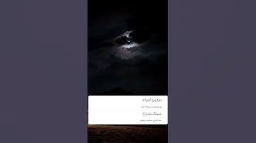شيخ رعد الكردي حالات واتس اب | سورة (عبس: ٣٨)