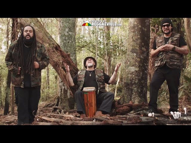 House of Shem - Peace & Love