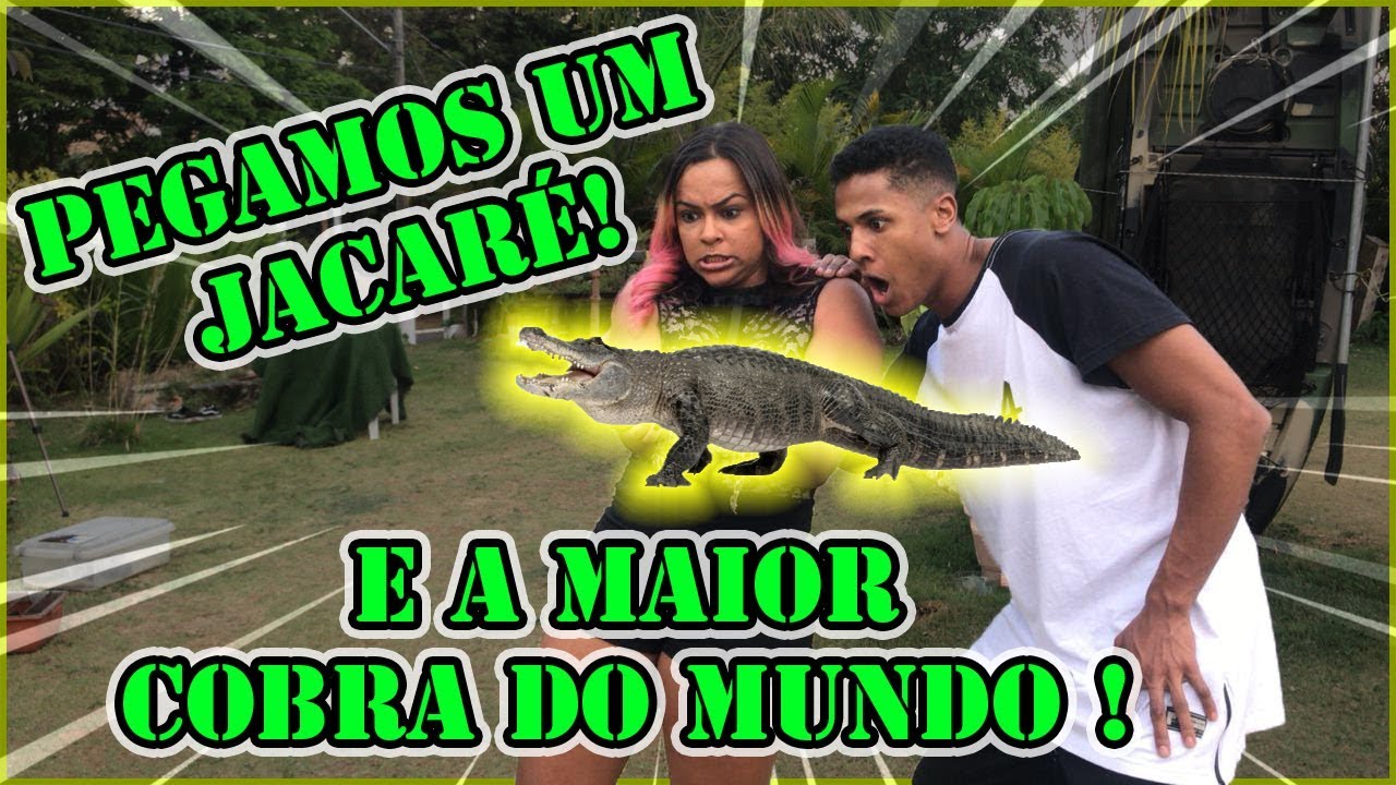 PEGANDO EM ANIMAIS PERIGOSOS !! MAIOR COBRA DO MUNDO