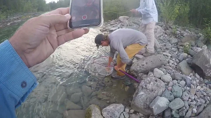 Bull trout fishing - Wigwam River, Fernie, BC