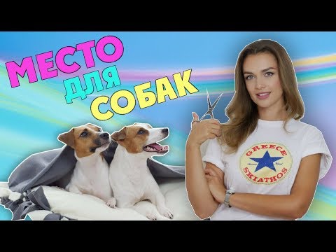 ЛЕЖАНКА ДЛЯ СОБАКИ СВОИМИ РУКАМИ || DIY БЕЗ КЛЕЯ И НИТОК!!!