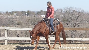 Just A Bit Of Me - easy, uncomplicated jog, lope, big stops, turns! - ValleyViewRanch.net