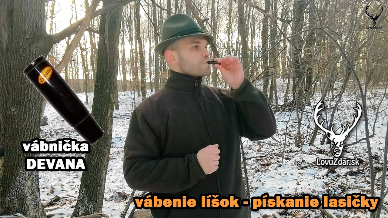 vábenie líšok - vábnička DEVANA - pískanie lasičky | vábenie, škola vábenia, manuál, návod #5