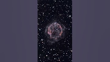 The Webb Telescope Captures Supernova #space #universe #mystery