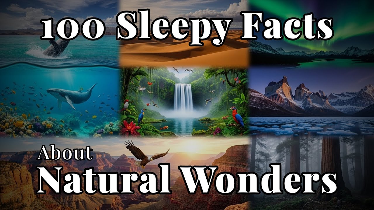 The Most Relaxing Nature Facts for Peaceful Sleep  Soothing Natural Wonders