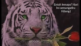 Story wa macan