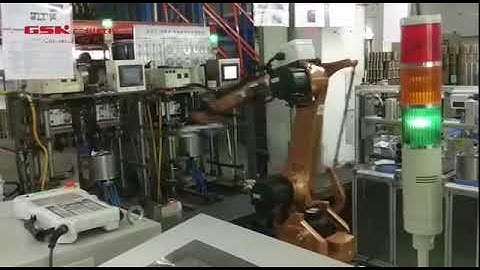 RMD08 robot for Vacuum Inner Container Loading and Unloading