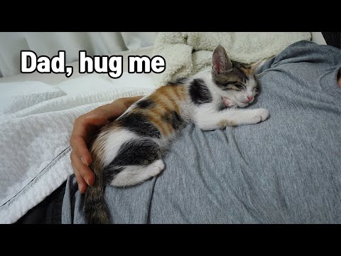 Whenever <strong>My</strong> Baby <strong>Cat</strong> Sleeps, She Hugs Me Tightly!
