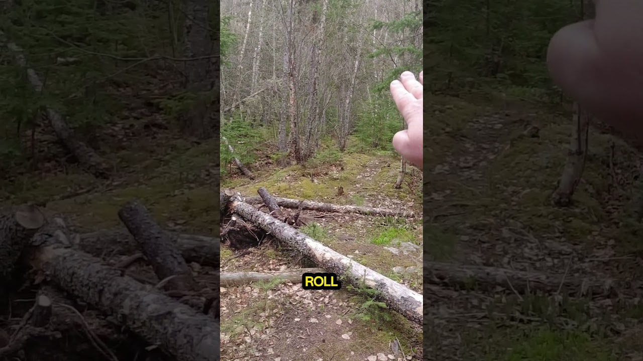 What to expect when hiking the Pukaskwa Coastal Trail!