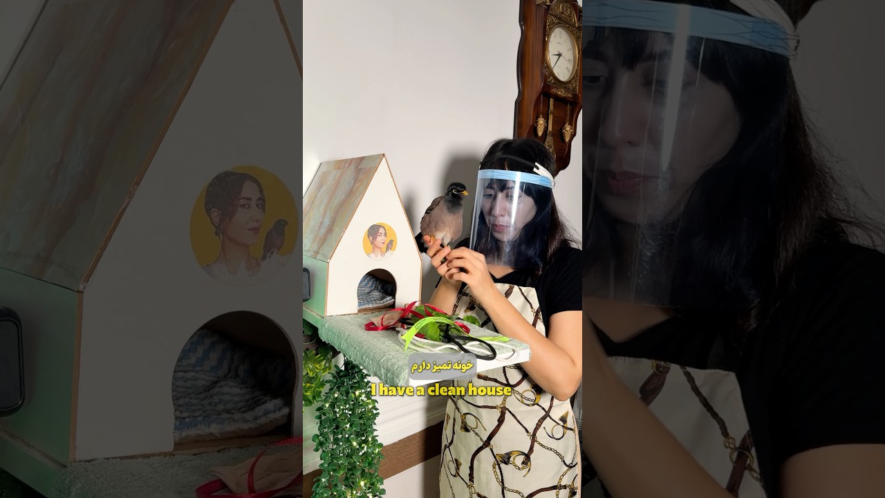 خونه تکونی مخملی(فقط آخرش😂).#مخمل #پرنده #خونه #asmr #cleaning #birdsounds #shorts