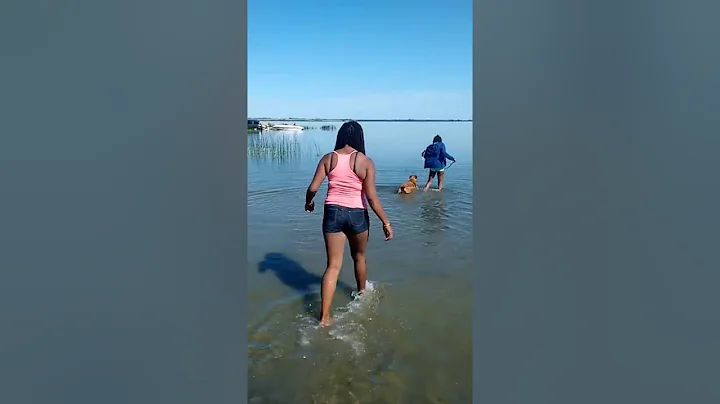 Lucy playing around in the water