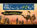 Hazrat Muhammed SAW Ka Waqia | Serrat-e-Nabwi Ka Waqya | Yaman Ka Shayer | Rohail Voice