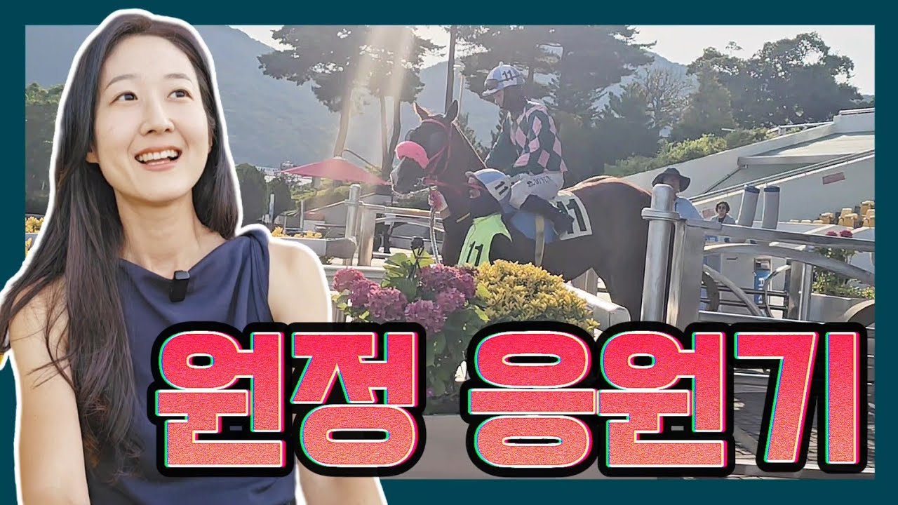 오늘은 너의 날이 아니었지만 언젠가는 꼭 기회가 올 거야. 천사 경주마 데이지티아라의 세번째 경주
