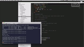 【编程开发】Nginx与Lua的高性能Web平台 OpenResty完美实战 P13  03 json 和 lua table 转换的细节（三）