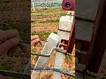전용 손잡이 레버를 활용한 농가 울타리 보수 및 철사 고정 기술 #worker #process #farming #maintenance #wire