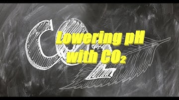 Carbon dioxide lowers pH in swimming pool water