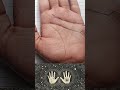 Money line and raj yoga in your palm rajyoga astrology palmistry king