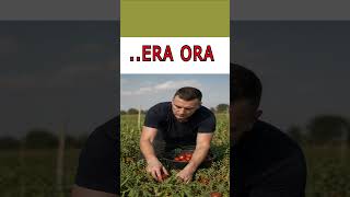 Rocco CASALINO scende in CAMPO e riparte dal basso con M5S a Ceglie Messapica