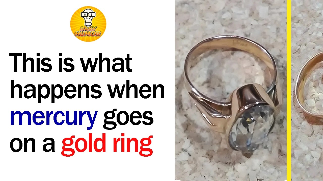 What Happens When Curiosity Is Answered Without Words