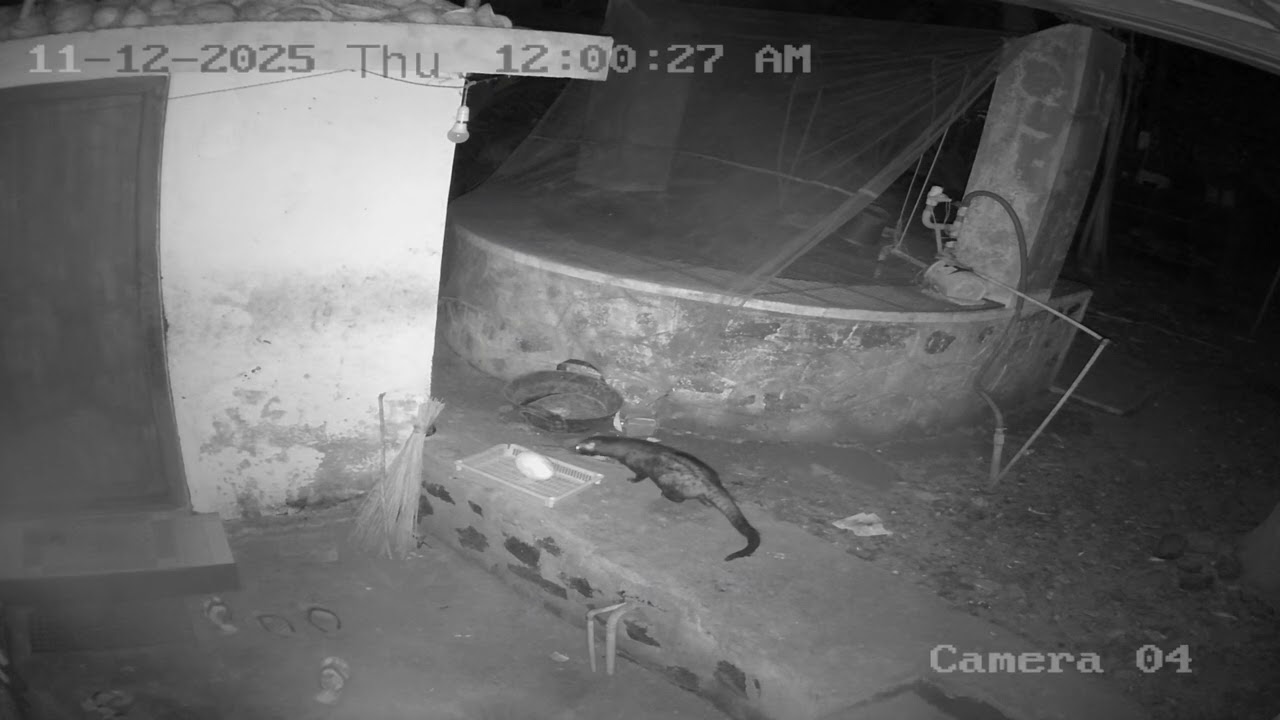 Epic Fail: Thief Recorded😂😂