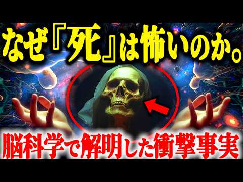 【死生観変わる】人が『死』を恐れる本当の理由とは？意識に隠された意外な答え…【死後の世界 意識の謎】