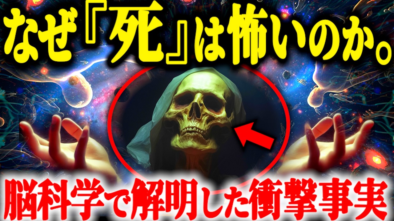 【死生観変わる】人が『死』を恐れる本当の理由とは？意識に隠された意外な答え…【死後の世界 意識の謎】
