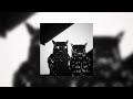 SAIZN Mirror Slowed Reverb 