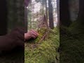 The Hidden Hobbit Village