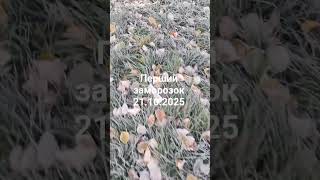 Перший заморозок.