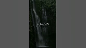 القارئ: #عبدالله_الموسى حفظه الله. ٲعوذ بالله من الشيطان الرجيم.