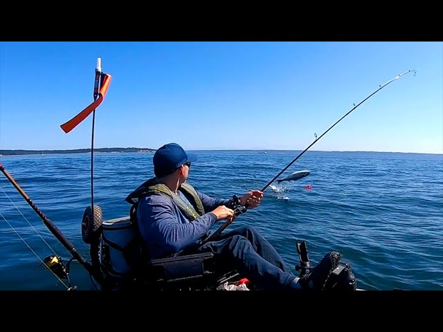 Trolling For Salmon in Puget Sound 