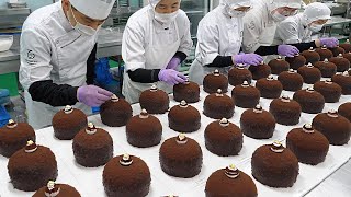 Chocolate Bomb! Giant Nut Chocolate Cake / Korean Food Factory screenshot 1