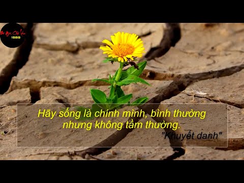 Những Câu Nói Ý Nghĩa Về Cuộc Sống |》Lời hay ý đẹp》♡ Dành Cho Bạn xem trong mùa dịch Corona Phần 1