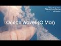 Ocean Waves (O Mar) by George Winston