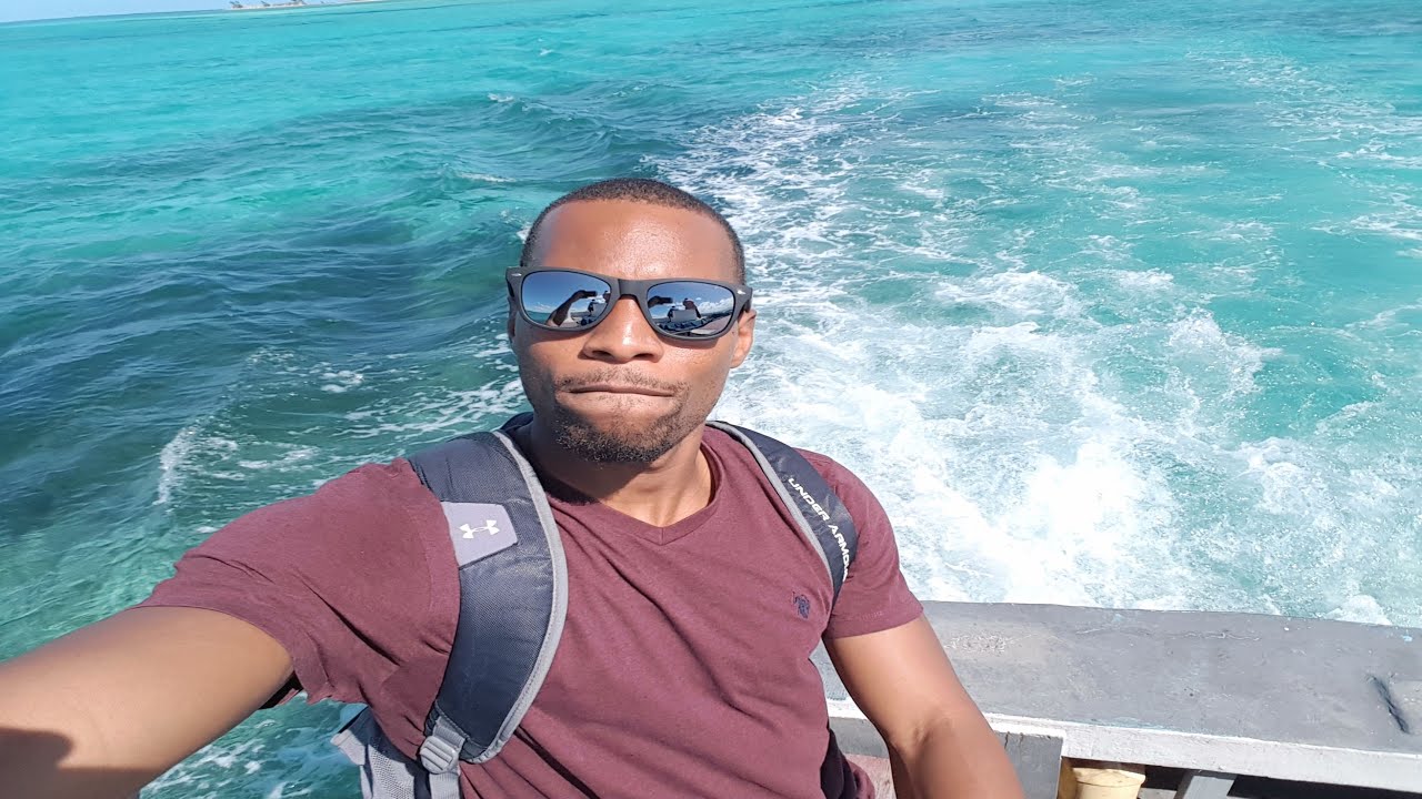 Survivor: Bird Trap Challenge