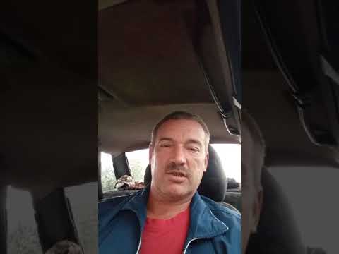 Поздно вечером.#Shorts#анекдот