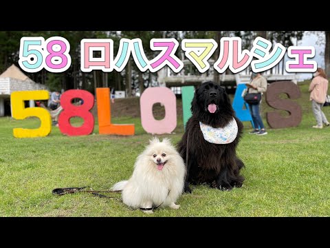 58ロハスマルシェ　栃木県矢板市で開催されたハンドメイドのお店がいっぱい出店するロハスマルシェに行ってきました♪