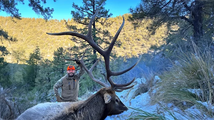 DRIVEN (A Late Season Elk Hunt)