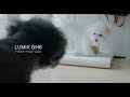 LUMIX GH6 | FIRST FOOTAGE | Micro Four Thirds