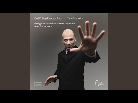 YouTubeでFlute concerto in D Minor, Wq. 22 H. 425: II. Un poco andanteを視聴