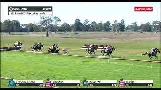 Mighty Jim killed in jumps racing