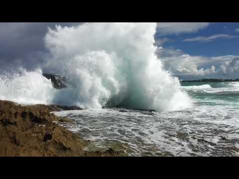 Video: V Portoriku Byl Ve Vodě Natáčen Plovoucí Tvor Připomínající Mořskou Pannu. Alternativní Pohled