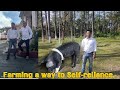 Farming a way to self-reliance//Mg Muktinath Pegu//progressive farmer//@exploringnortheast5144
