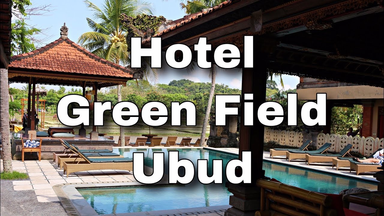 Hoteles en Bali || Green Field Ubud || Hotel & Room Tour