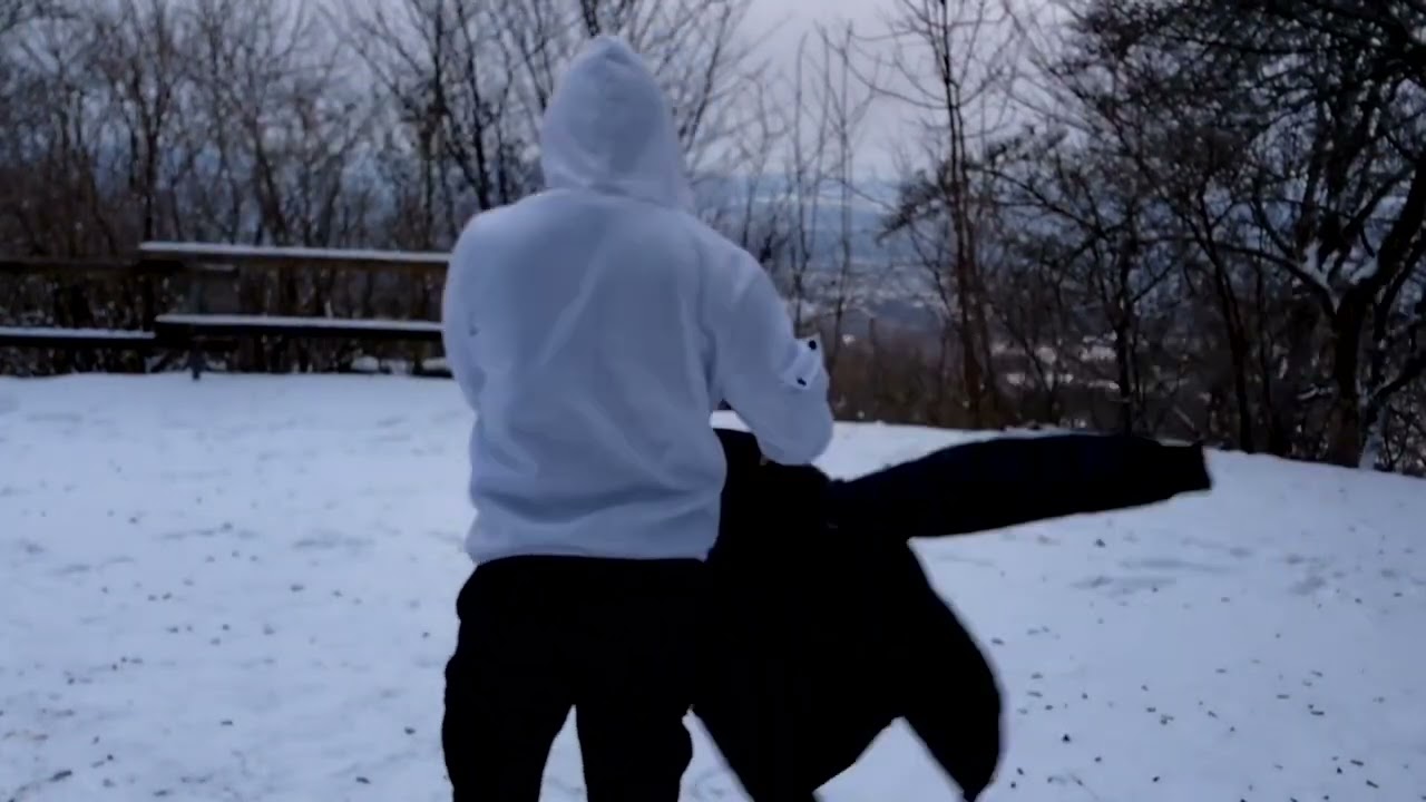 Несколько кадров из похода в горы зимой в Германии 2026 , без слов и текста 