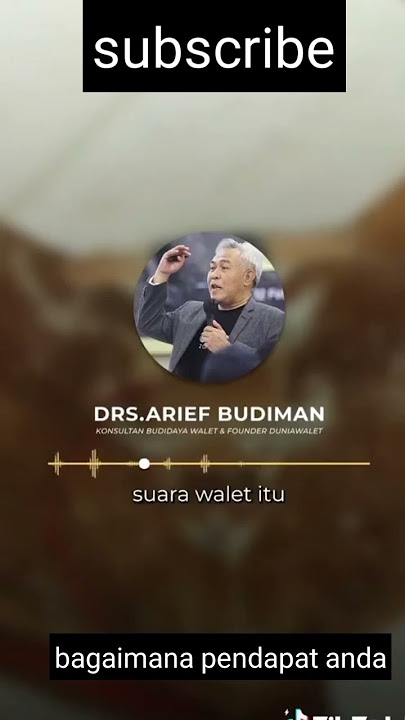 cara setting suara inap burung walet