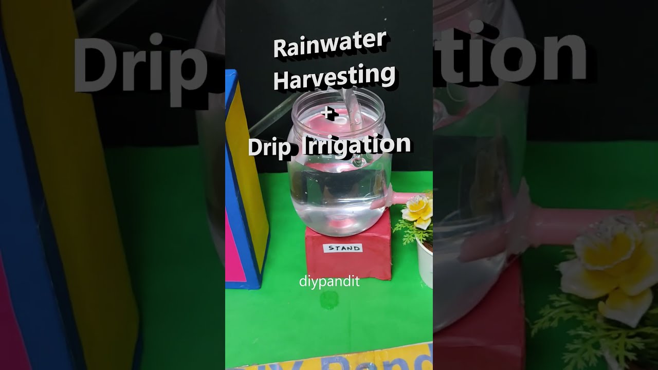 Rainwater Harvesting And Drip Irrigation Working Model Shorts DIY Pandit
