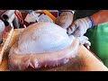 Cutting cuttlefish alive to sashimi in 3 minutes - Taiwan seafood market